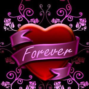 Meet your Posher, Steve